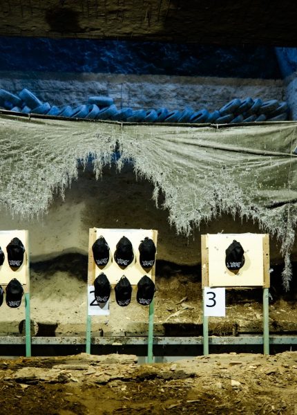 Photo 18.11.23, 22 43 37